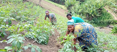 Adventsactie 2020 voor akkerbouw gevluchte zinnen in Congo