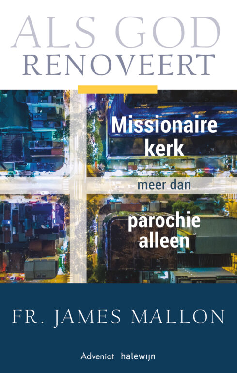 Missionaire Parochie tweede boek Father James Mallon